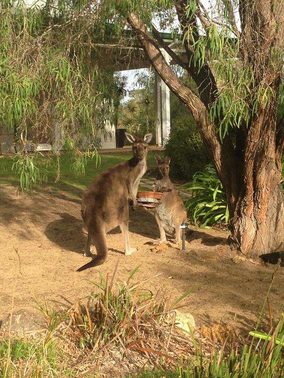Llewellin'S Guest House Margaret River Εξωτερικό φωτογραφία