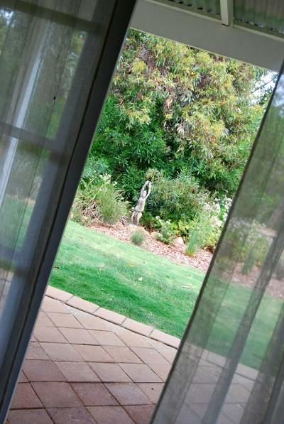 Llewellin'S Guest House Margaret River Εξωτερικό φωτογραφία